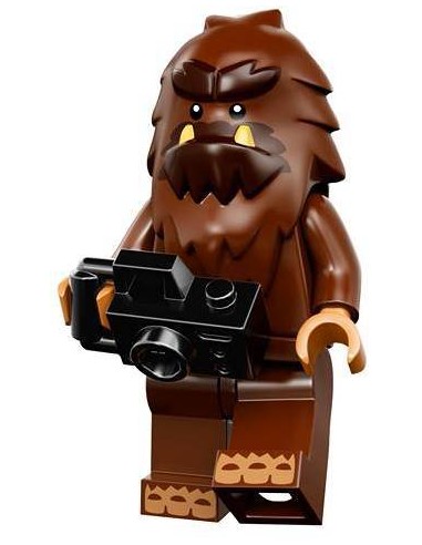 LEGO Série 14 - Square Foot - 71010-15