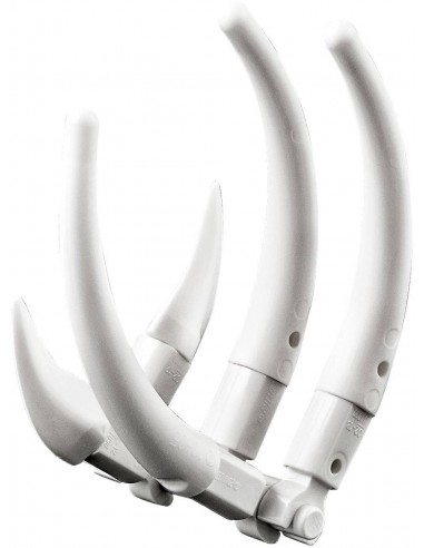 LEGO Creator - Le Dinosaure Féroce - 31058 - En stock chez Brickgarden.fr